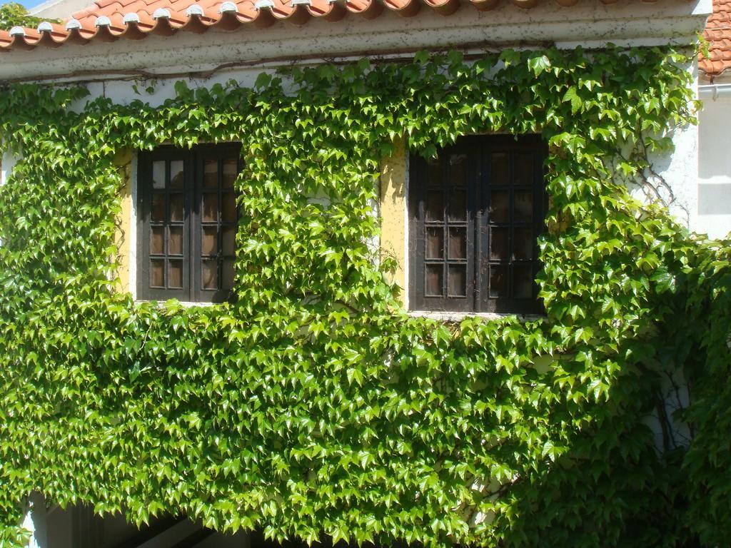Rio Natural Vila Nova de Milfontes Dış mekan fotoğraf